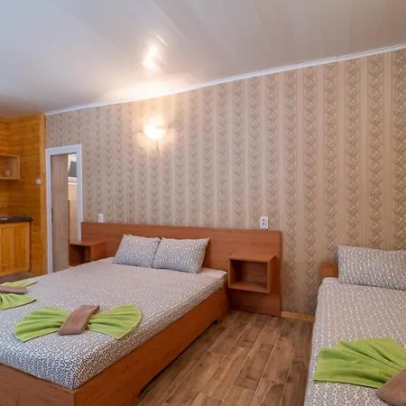 Elmona קמיצ'יה