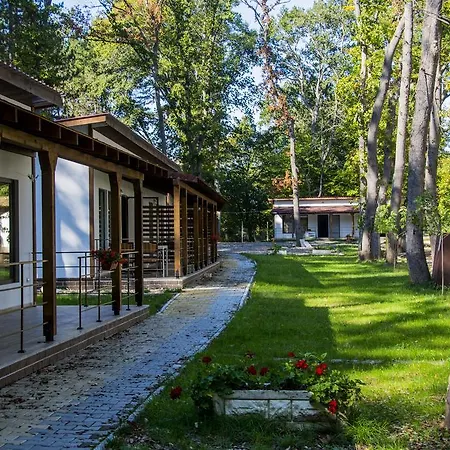 Elmona * Kamchia (Varna)