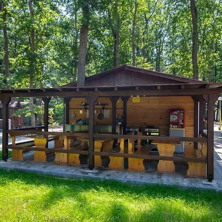 Elmona Kamchia (Varna)